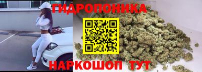 PSILOCYBIN Кулебаки